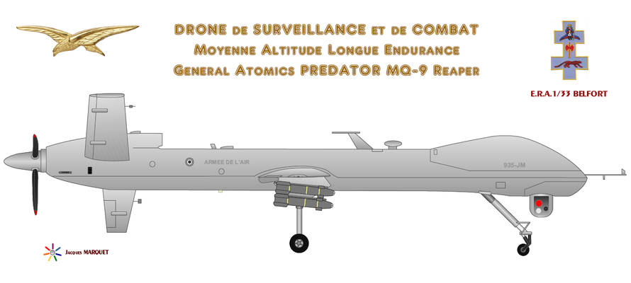 Escadron de Drones 1/33 Belfort 12